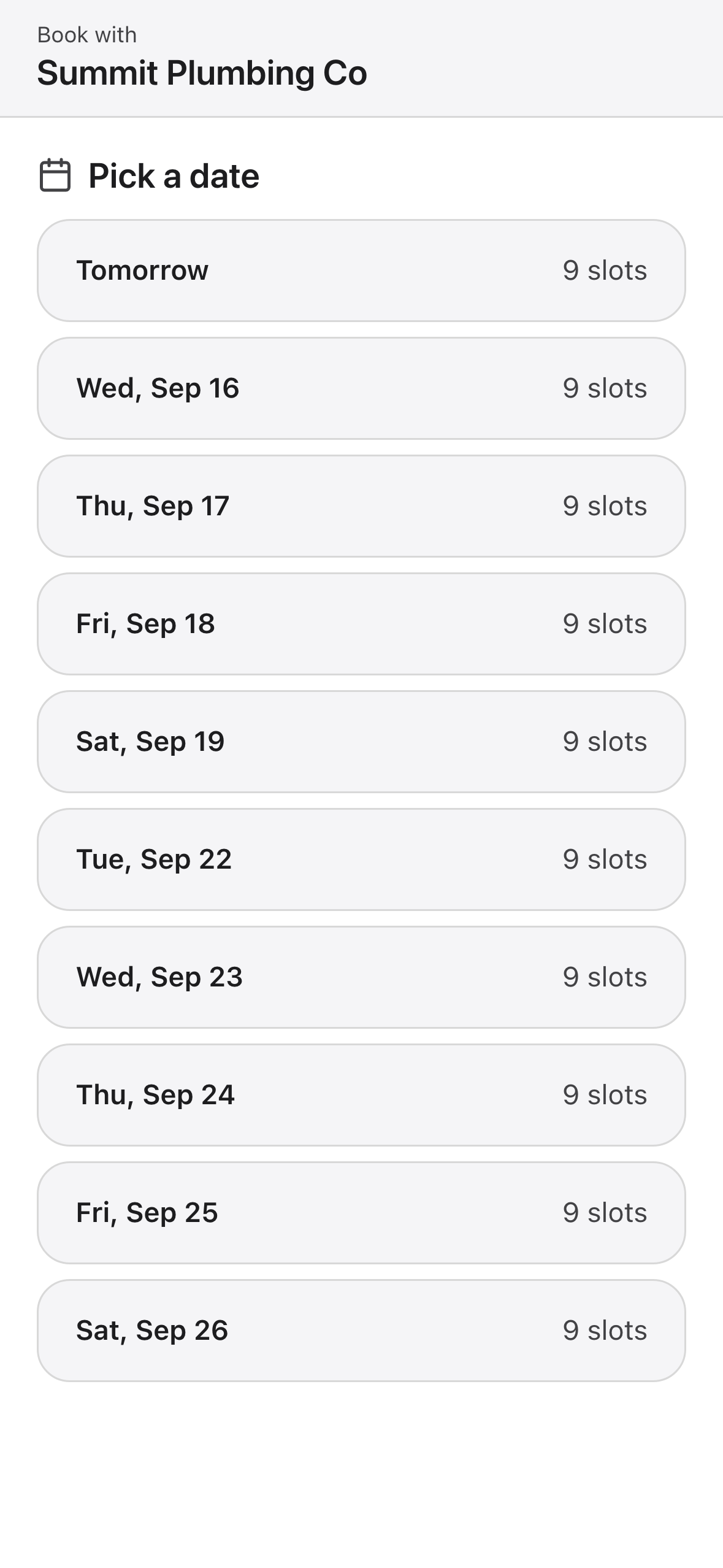 Public booking page: open dates and time slots for Summit Plumbing Co